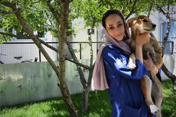 La storia del volo per evacuare duecento cani e gatti da Kabul