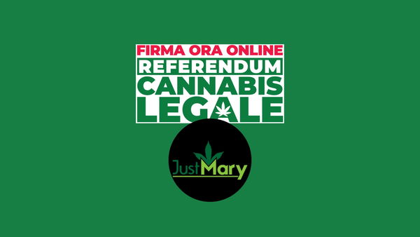 JustMary partner di Meglio Legale: «La raccolta firme digitale ha un costo, noi facciamo la nostra parte»