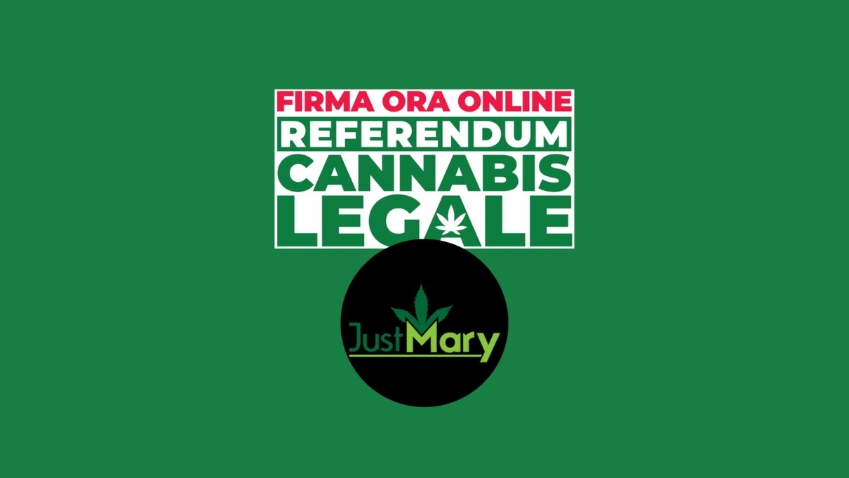 JustMary partner di Meglio Legale: «La raccolta firme digitale ha un costo, noi facciamo la nostra parte» article-post