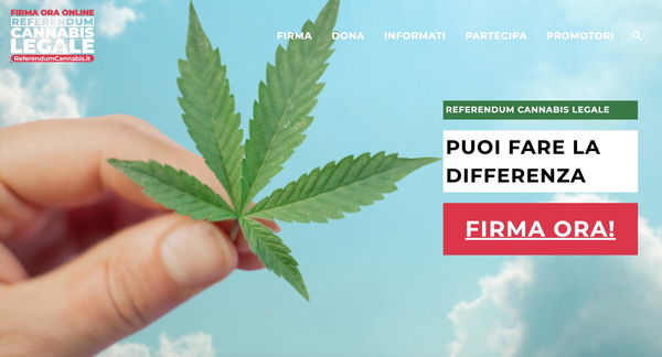 L’effetto delle firme digitali sul referendum Cannabis legale: già 100mila adesioni in 24 ore