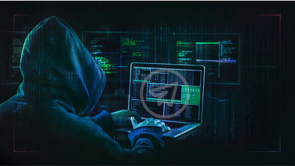 Lo studio che dice che Telegram si sta “sostituendo” al dark web