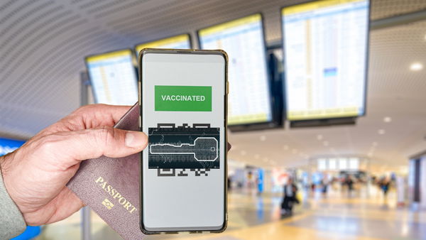 Lo studente che ha ingannato una modella che aveva speso 150 euro per un green pass falso