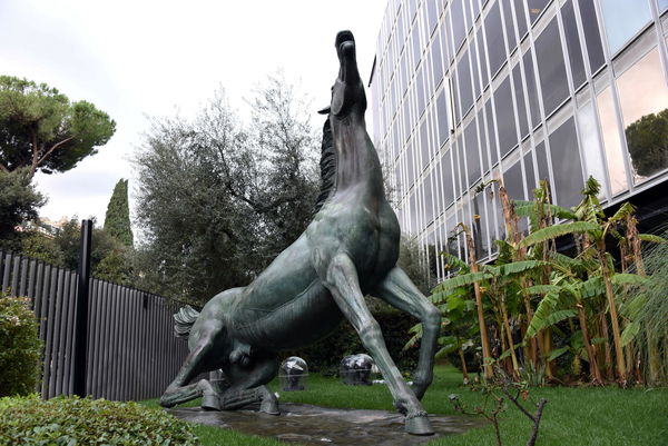 L’Unione sindacale dei giornalisti Rai valuta di citare in giudizio l’azienda: «forte preoccupazione»