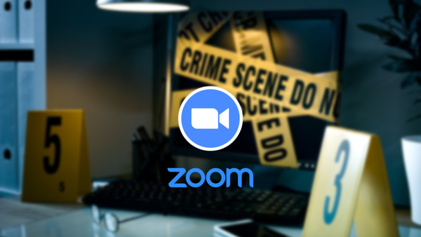 Una donna è stata uccisa dal figlio di due anni mentre era in collegamento Zoom