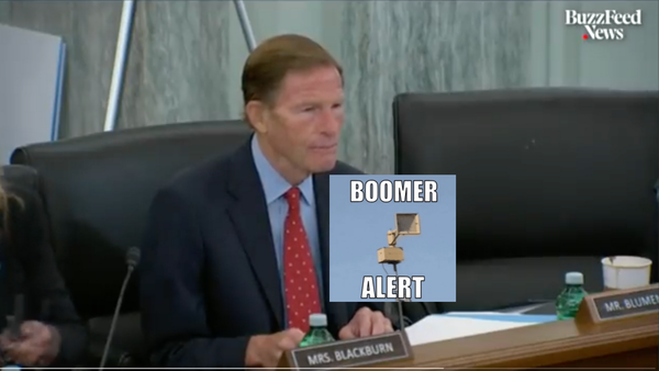 La figura da boomer del senatore che scambia lo slang «finsta» per un prodotto di Facebook