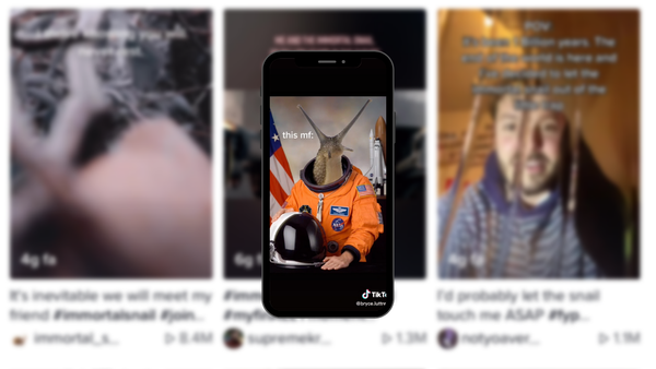 Cos’è il trend immortal snail che spopola su TikTok?