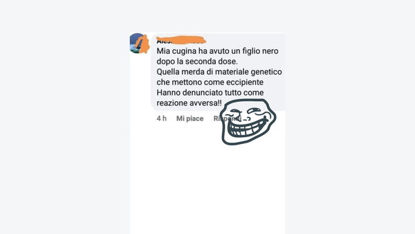 Il commento virale «mia cugina ha avuto un figlio nero», tra trolling e bufale