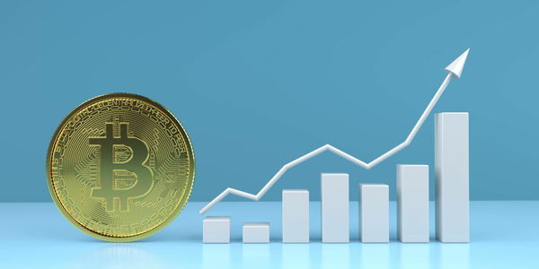 Eric Adams, neosindaco di NY, vuole essere pagato in bitcoin