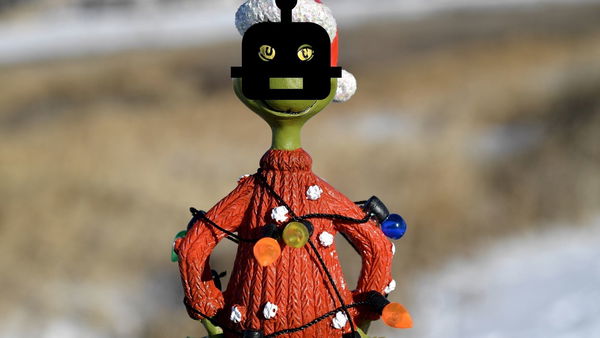 Attenzione ai cyber Grinch: la legge per contrastarli in Usa