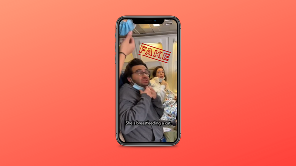Come la storia della donna che allatta un gatto è diventata virale su TikTok e perché è una bufala