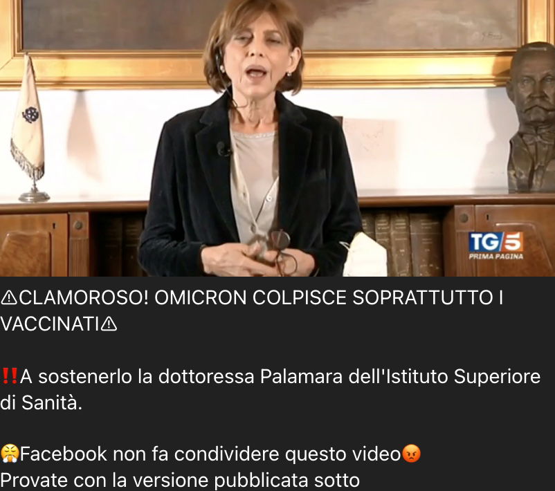 Anna Teresa Palamara video