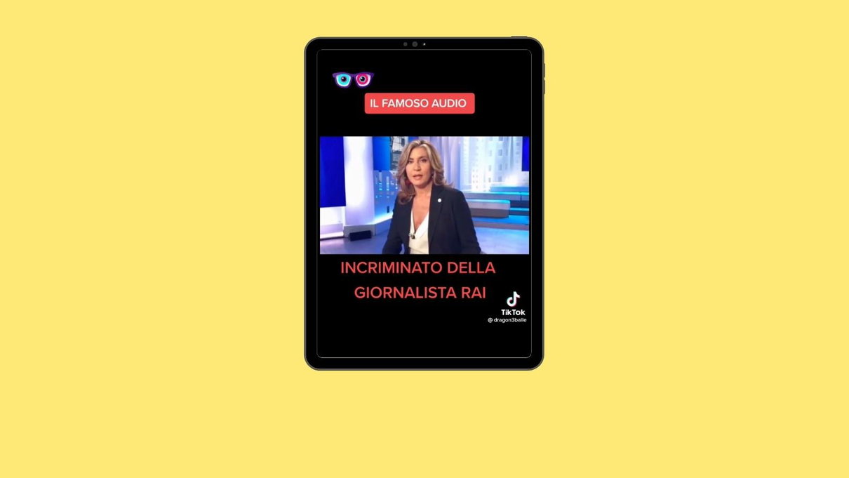 Perché sta tornando a girare «l’audio incriminato della giornalista Rai» article-post