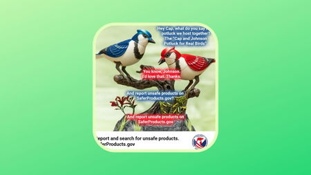 L’agenzia governativa Usa che sta al gioco e entra nel complotto fake degli uccelli che non esistono article-post