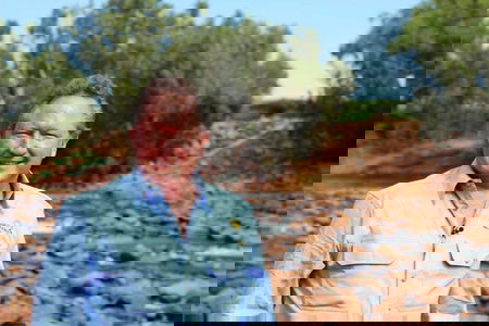 Il miliardario australiano che fa causa a Facebook per le pubblicità-truffa sulle criptovalute con il suo volto article-post