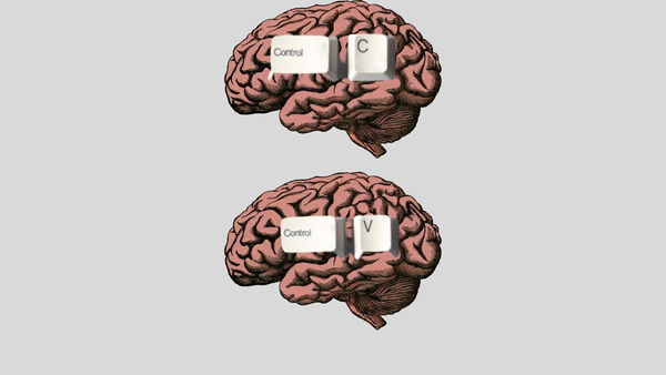 In futuro sarà possibile avere un backup digitale del nostro cervello?