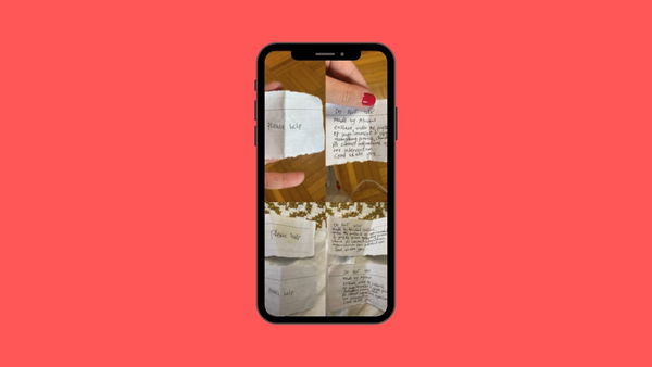 Le prime tracce dei presunti biglietti nella confezione di mascherine FFP2 arrivano da Reddit