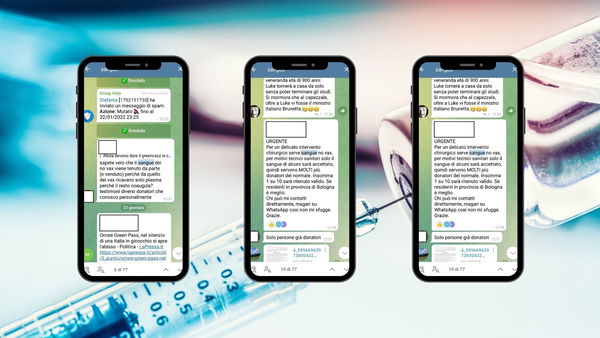 Le chat Telegram in cui si reclutano donatori di sangue non vaccinati