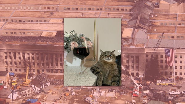 Gli scammer che organizzano una finta raccolta fondi che sfrutta un gatto meme ucraino