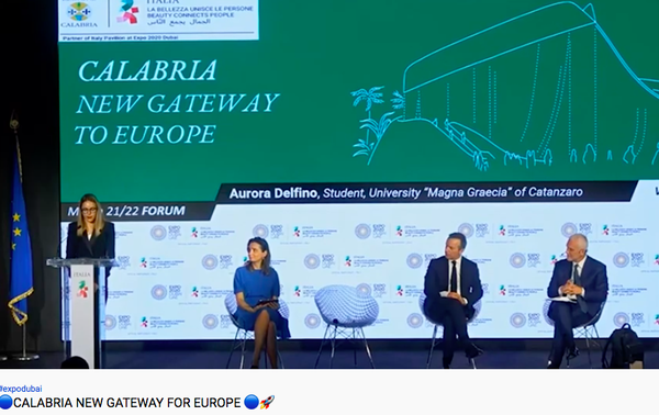 L’AI per salvare i boschi dagli incendi: l’algoritmo di una studentessa elabora un piano per i soccorritori