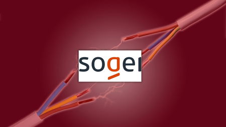 Il Garante della privacy chiede chiarimenti a Sogei dopo il down dei giorni scorsi article-post