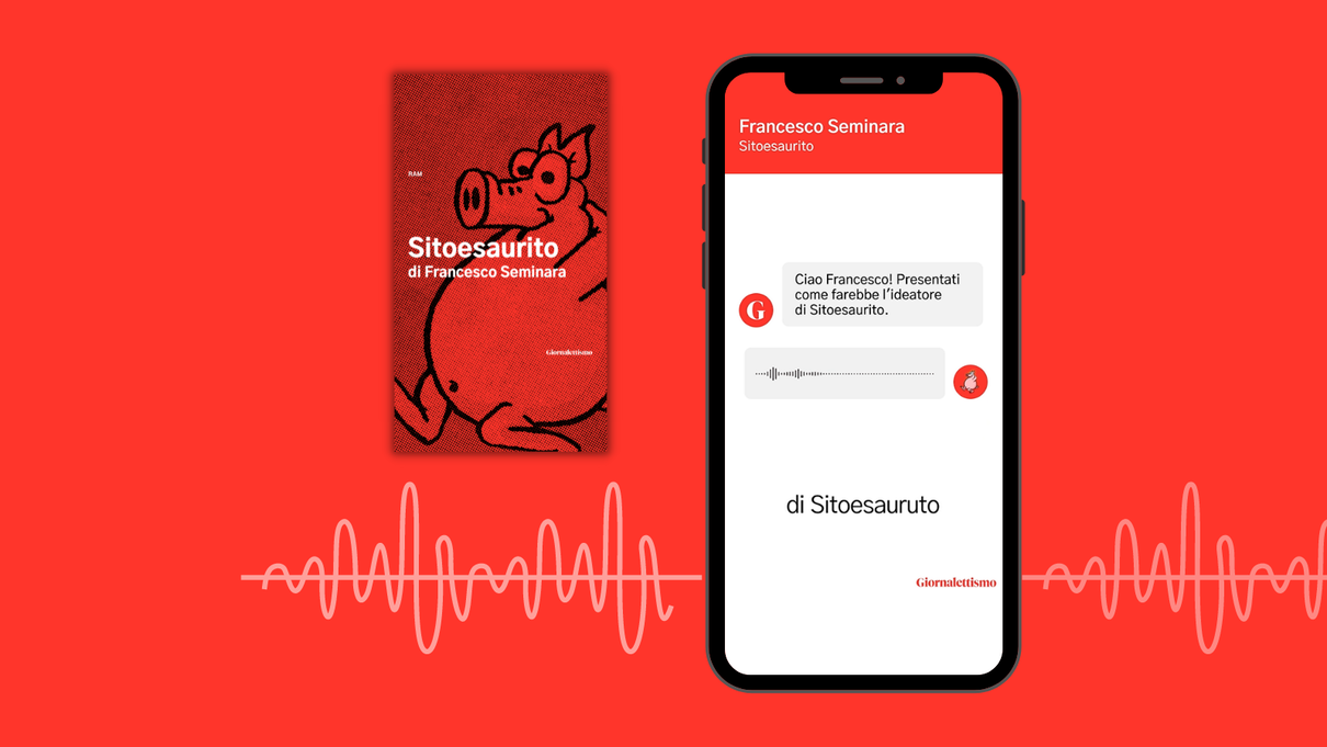 Il contributo di Francesco Seminara e Sitoesaurito alla storia di internet in Italia | RAM – La rete a memoria article-post