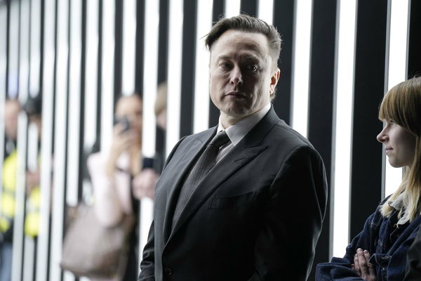 Il CEO di Twitter ha detto che Elon Musk ha deciso di non far parte del board del social