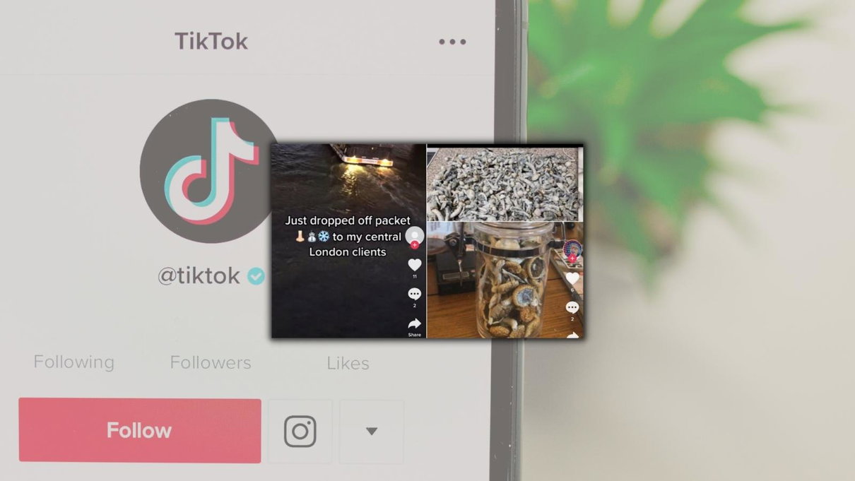 Gli account TikTok che aggirano i filtri dell’app per spacciare droghe usando emoji article-post