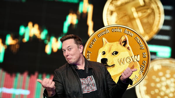Un cittadino chiede a Musk 258 miliardi di danno per aver manipolato Dogecoin