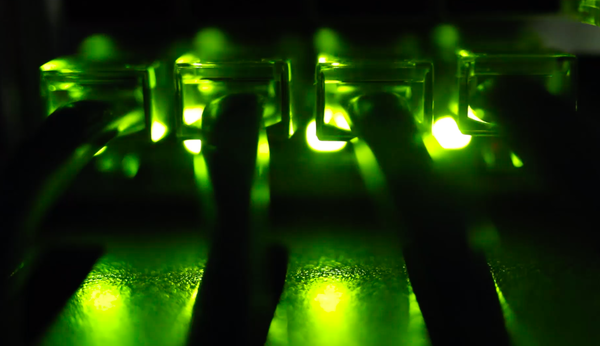 Cos’è una CDN e perché sono importanti per la tenuta di internet