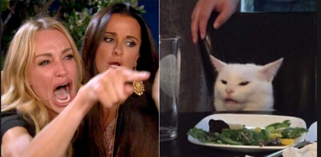 La vera (traumatica) storia del meme della donna che urla a un gatto article-post