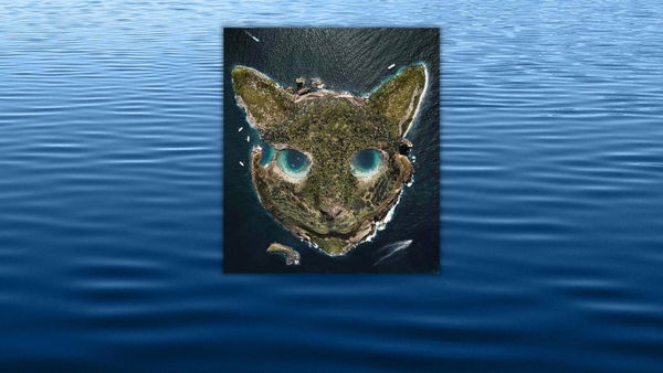 La fascinazione social attorno all’Isola del gatto (che non esiste)