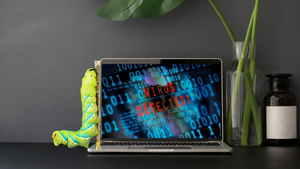 Cos’è il worm, una delle prime forme di malware informatico