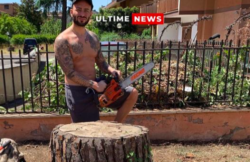 Quelli che pensano che il meme di Saolini sia davvero la notizia del chitarrista di Jovanotti che abbatte una quercia