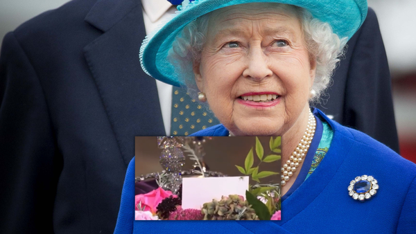 Il profilo Twitter del ragno sulla tomba della regina Elisabetta