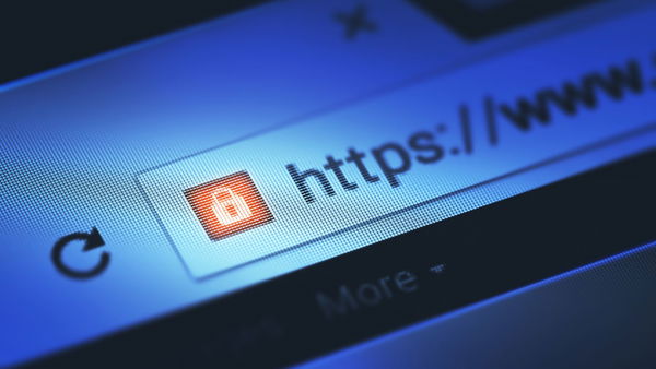 Secondo uno studio i giovani sarebbero più vulnerabili al phishing rispetto agli adulti