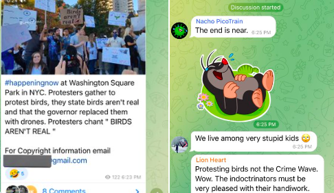 Il cortocircuito che ha portato in piazza i “complottisti” digitali di Birds aren’t real