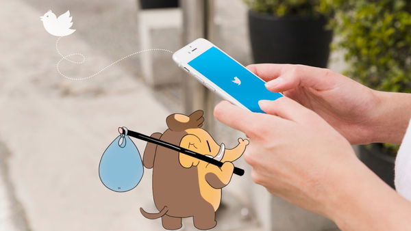 Gli utenti continuano a lasciare X: la scelta è Mastodon