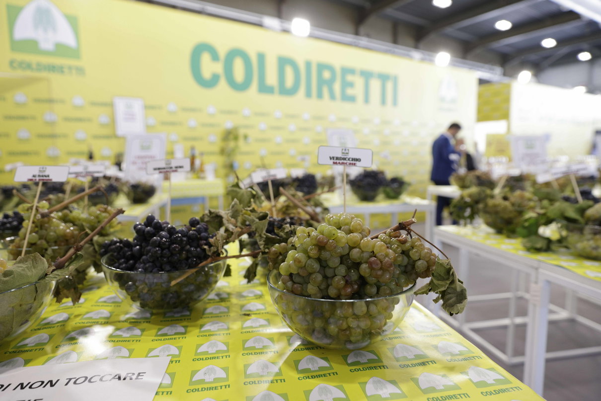 Un tema importante come la petizione contro il cibo sintetico di Coldiretti non sarebbe da raccolta firme digitali? article-post