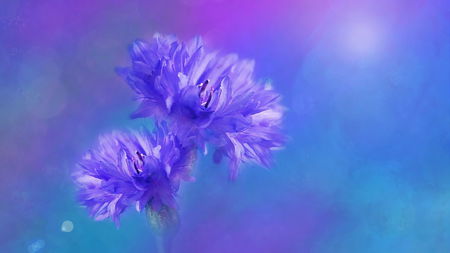 Il boom delle app che sfruttano l’AI dopo il successo di Lensa AI article-post