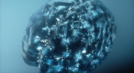 Come trasformare la visione dell’attività neurale da una tv a tubo catodico a schermo 4K: la sfida di Corticale article-post