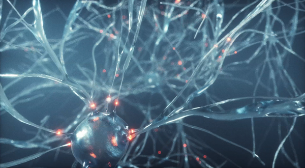 Dove Musk sta esagerando con tempi e applicazioni di Neuralink