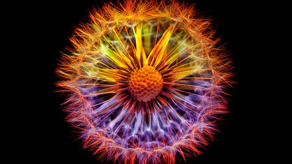 L’annuncio della fusione nucleare sui giornali: facciamo un po’ di chiarezza