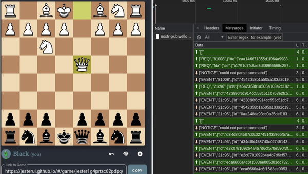 Quali cose si possono fare utilizzando Nostr?