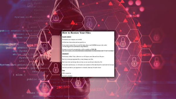La tipologia di malware che, probabilmente, è stata utilizzata per attaccare i server VMware ESXi
