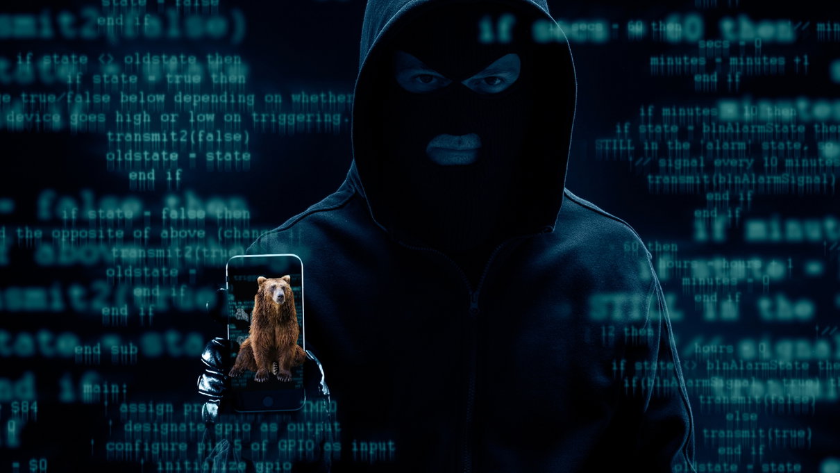 Chi sono gli hacker di NoName e quali siti istituzionali italiani hanno attaccato di recente article-post