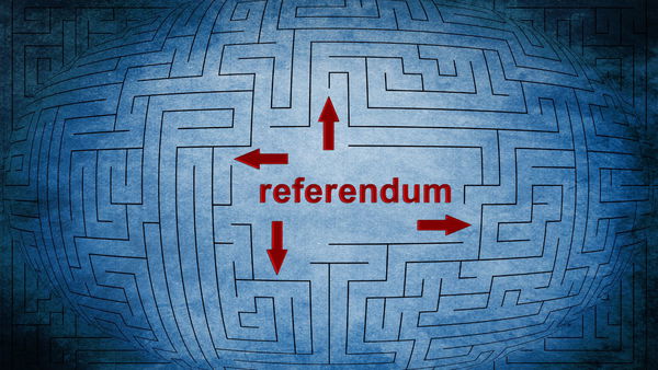 Dove si è impantanata la piattaforma per la raccolta firme digitali per i referendum