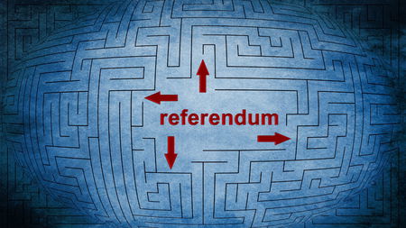 Dove si è impantanata la piattaforma per la raccolta firme digitali per i referendum article-post