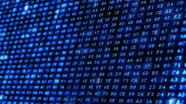 Cos’è il valore hash e perché è alla base del funzionamento di “Take it down”