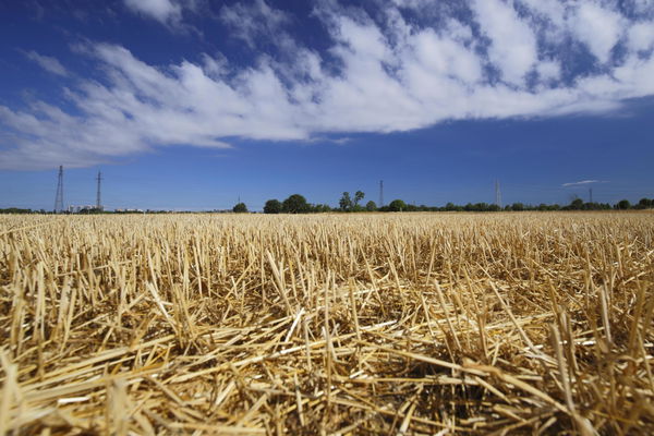 Cosa prevede l’accordo per la tutela del Made in Italy agroalimentare su Amazon