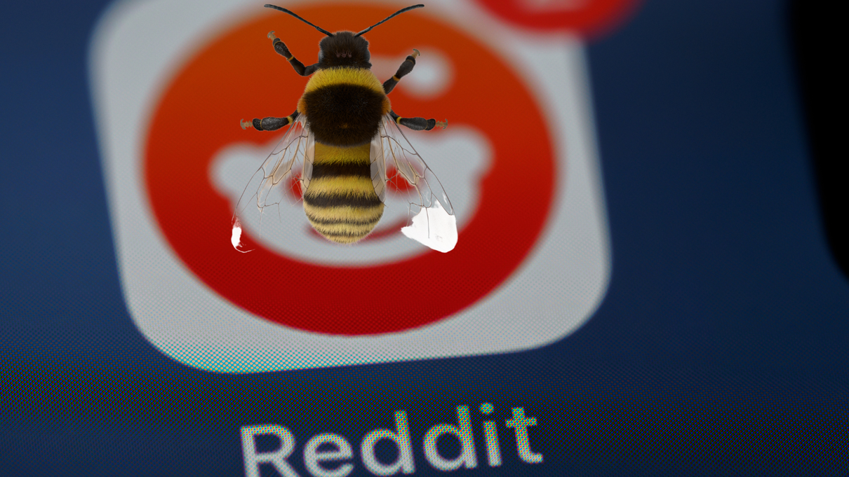 Il grande caos delle API di Reddit article-post